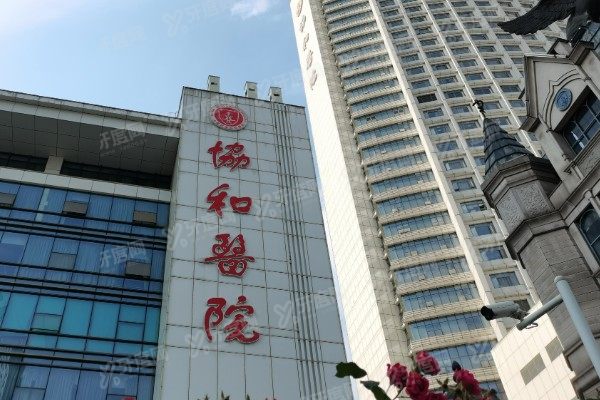 武汉协和医院口腔科预约挂号攻略：电话+微信+APP全流程一篇看懂