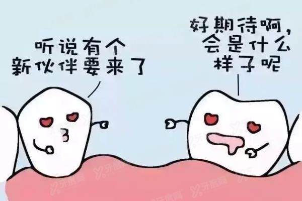 德国卡瓦abt和韩国奥齿泰哪个好？各具优势！含适用人群|使用寿命|优缺点对比