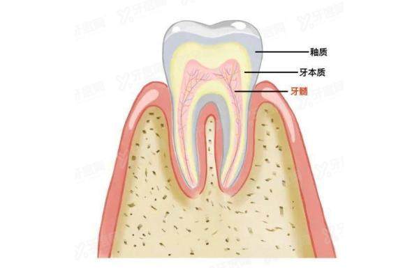 禹州博大口腔医院价格表：洗牙59|种植牙2519|牙齿矫正3036元起