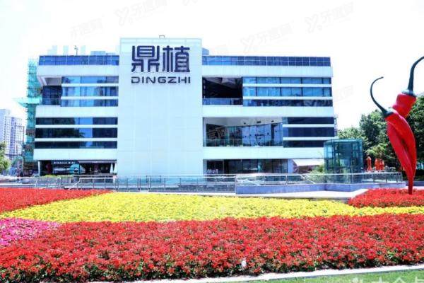 上海鼎植口腔医院营业时间表与预约指南：提供电话、微信及官网预约方式