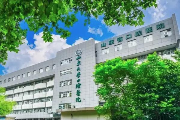 伟德国际下列关于商业银行风险管理的组织架构说法正确的有