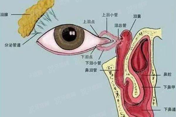 泪囊炎怎么引起的？快来看看泪囊炎的病因叭！.jpg