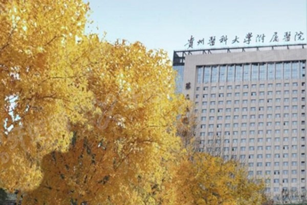 贵州医科大学附属医院眼科收费标准表，近视手术|白内障|青光眼|角膜塑形镜价格一览yanke.yadoo.cn