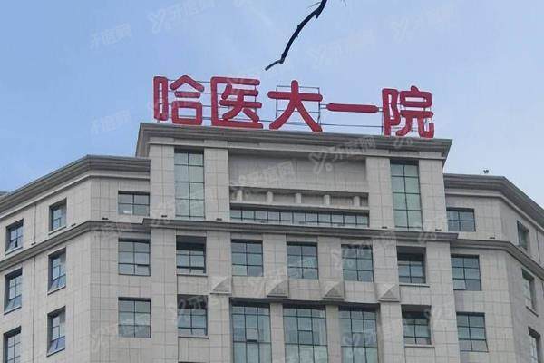 哈医大一院眼科挂号全攻略:5种预约方式+放号时间+地址营业时间汇总yanke.yadoo.cn