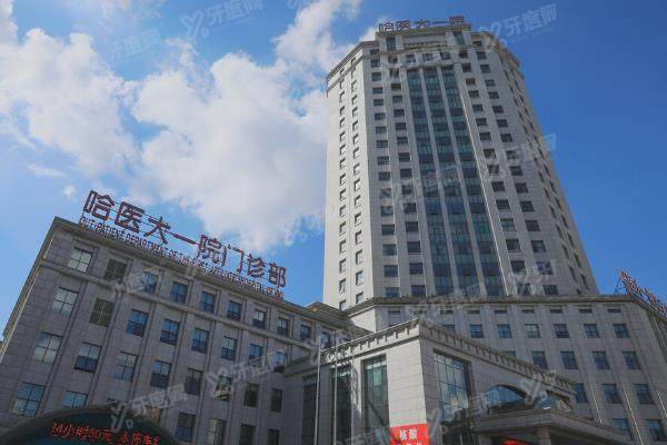 哈医大一院眼科挂号全攻略:5种预约方式+放号时间+地址营业时间汇总yanke.yadoo.cn