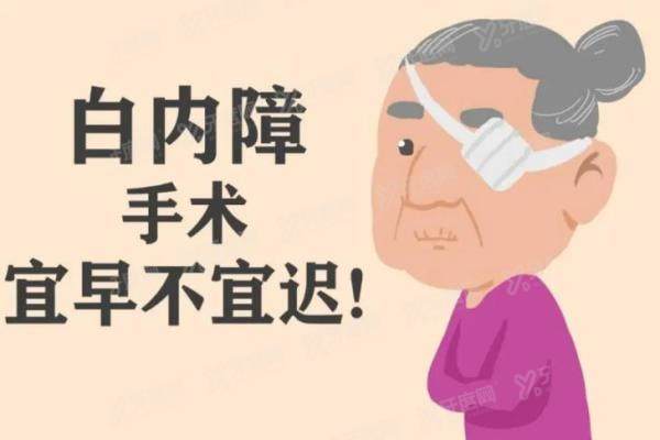 2025河北白内障手术免费吗?一文看懂申请条件;报销比例和流程！yanke.yadoo.cn