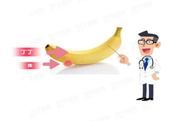 男士入珠手术价格表