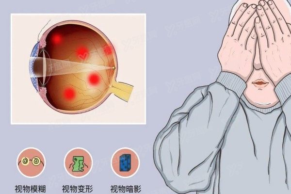 视神经再生新突破3.jpg