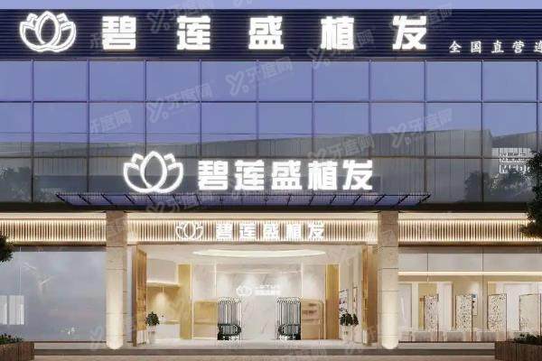 碧莲盛植发价格一览表