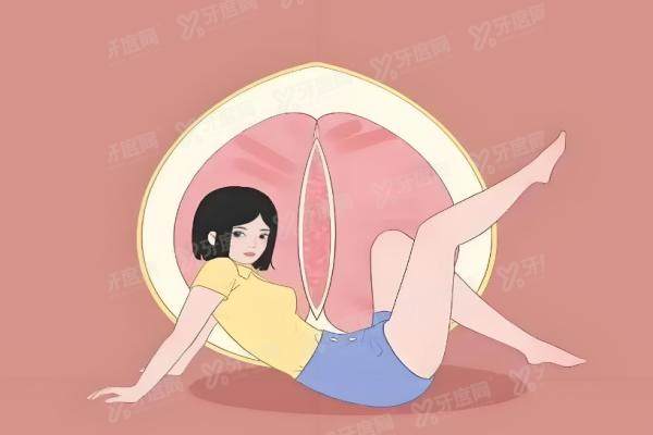 蝴蝶型馒头型鲍鱼型的区别