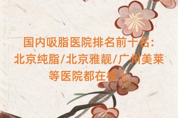 国内吸脂医院排名前十名