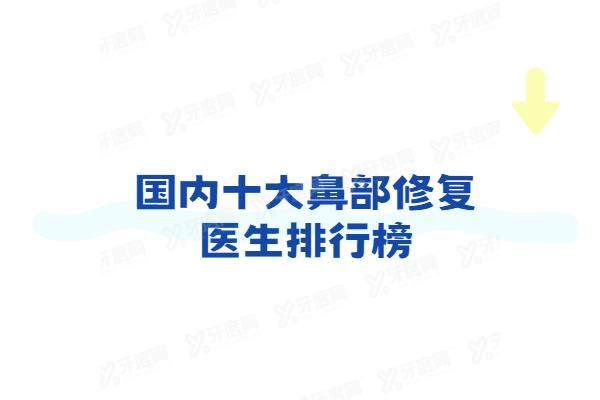 国内十大鼻部修复医生排行榜