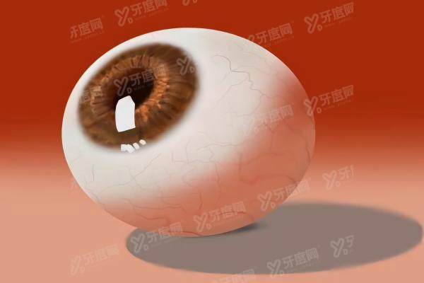 仿生眼球新消息.jpg