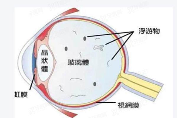 薛安 全预约挂号.jpg
