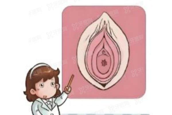 北京侯智慧实例