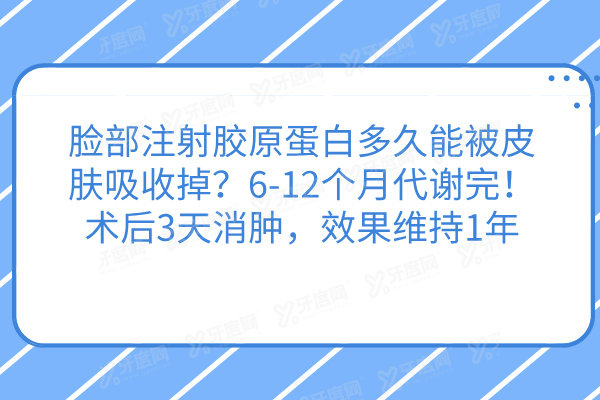 脸部注射胶原蛋白多久能被皮肤吸收掉