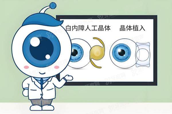 德国进口人工晶体有哪些品牌？蔡司/人类光学/视光怎么选？价格/质 量一文说清！3