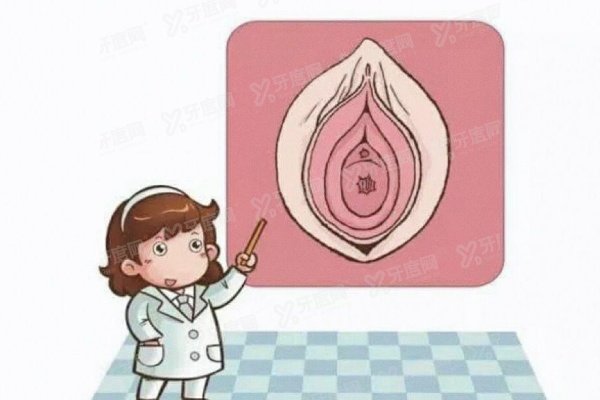 女性私密整形有哪些手术