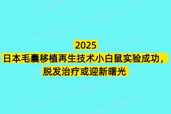 ​2025日本毛囊移植再生技术小白鼠实验成功，脱发治疗或迎新曙光