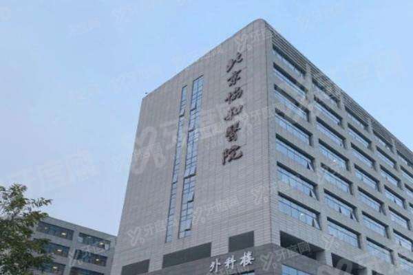 北京协和眼科视神经专 家名单.jpg