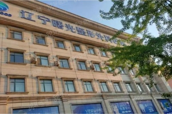 于世川的拉皮手术<span style=