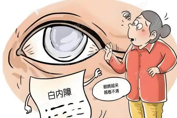 蔡司晶体属于什么档次的？高端晶体，高清和舒适真的值回票价！2