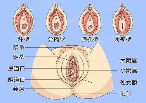 朱慧东馒化修复口碑怎么样？价格高但患者评价取生长因子技术好，附患者案例