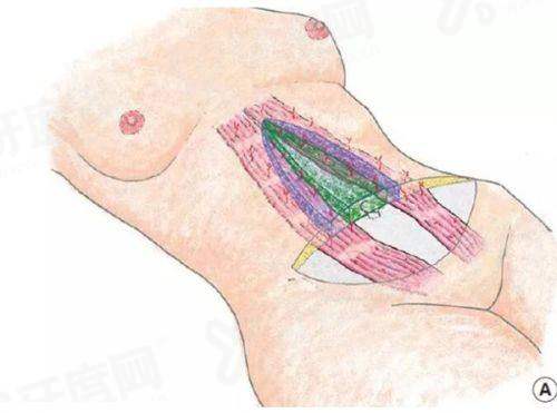 乌鲁木齐474空军眼科专家坐诊：宋玫侠/冯继伟/王萍等医生网上挂号及上班时间公布