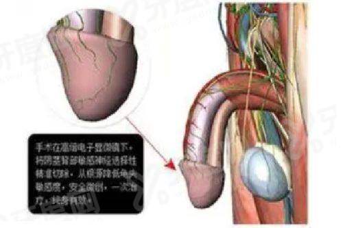 总结:西安市第一医院眼科怎么预约挂号?揭秘挂号攻略,了解眼科实力及超详细地址!