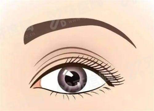 河南省人民医院眼科地址