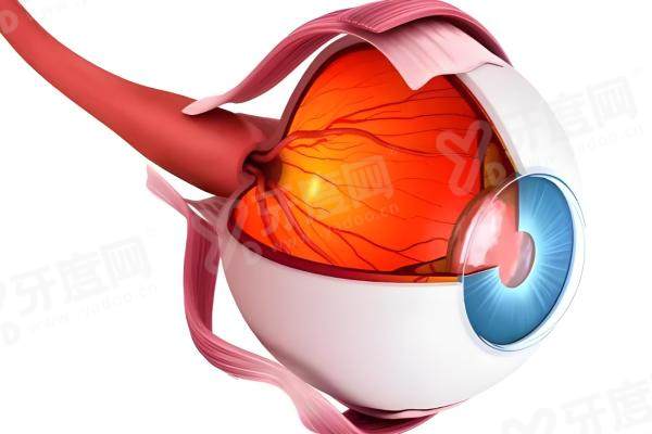 北京同仁医院视神经萎缩手术费用：魏文斌团队费用6-10万起，2025治疗医生推荐别错过！