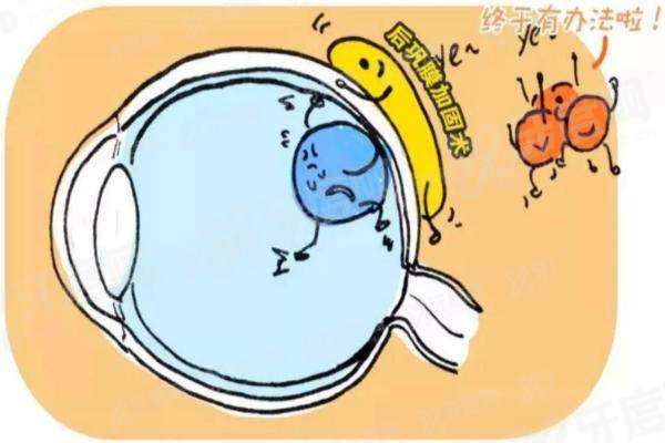 1763536325648968.jpg 1.jpg