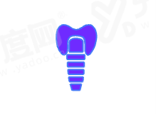 二、重点项目价格全解析