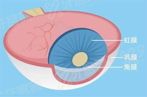 南京东南眼科医院是正规医院吗？是的！资质完备、专家超厉害，快来了解挂号预约攻略！