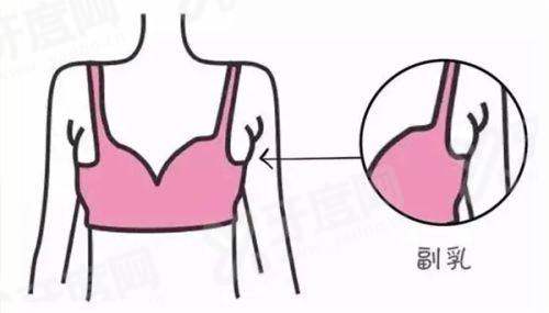 三、武晓莉医生放号时间相关价格表