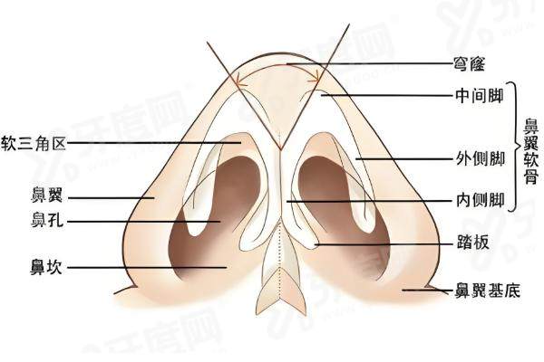 东莞缔美蒋翔峰做鼻子什么价位？基础鼻整形1.5万起，综合鼻整形2万起！ 