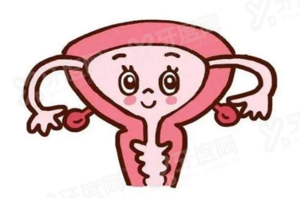 北京嘉禾做私密整形怎么样？医生专业+技术出色，效果自然又安全