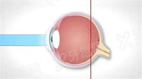 二、西安碑林奕鸣眼科诊所口碑评价：这些“差异化优势”让它脱颖而出yanke.yadoo.cn