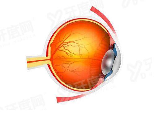 二、成都眼科医院排名榜前十名yanke.yadoo.cn