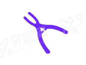 二、赵正国医生坐诊医院地址/时间/乘车路线yanke.yadoo.cn