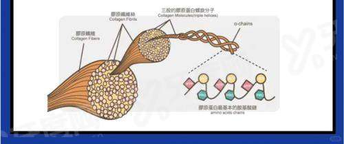 二、上海义耳定制的医院yanke.yadoo.cn