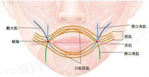 面部不对称矫正手术多少钱？玻尿酸注射1k+/自体脂肪填充1w元起