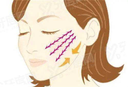 二、上海九院抽脂挂什么科yanke.yadoo.cn