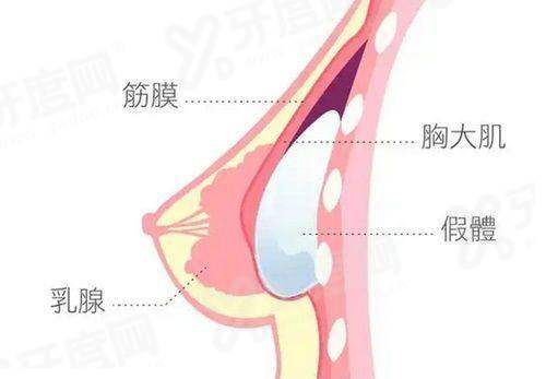 郭玉瑞面部提升拉皮属于什么档次？河南中医药大学三附院主任医师，擅长多类整形，价格5000起