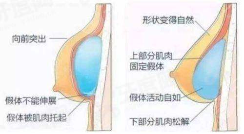 二、郭玉瑞医生个人资料简介yanke.yadoo.cn