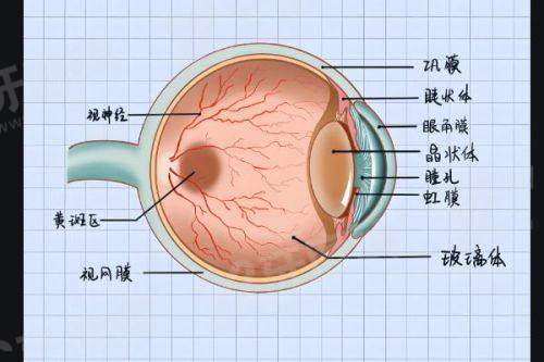 二、西安四院眼科预约挂号攻略？多种渠道轻松预约就诊yanke.yadoo.cn