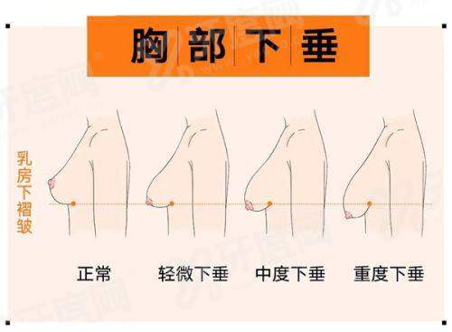 上海整形医生赵鹏面部提升三件套怎么预约面诊？3种预约方式公布，附坐诊地址路线！