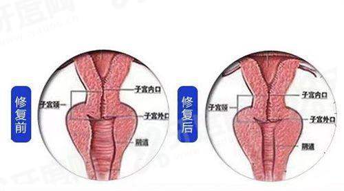 二、韦元强在北京哪家医院坐诊yanke.yadoo.cn