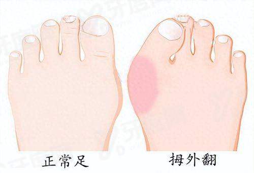 二、大麦植发价格一览表yanke.yadoo.cn