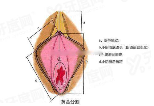 二、刘彦龙医生怎么挂号yanke.yadoo.cn